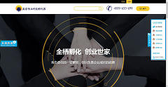 网站
