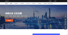 网站