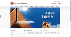 网站