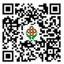 微信